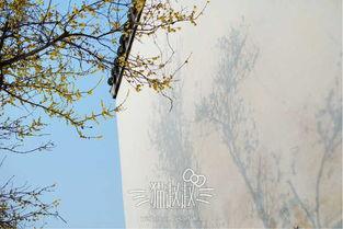 春风不识旧时月,探寻时光流转中的岁月痕迹